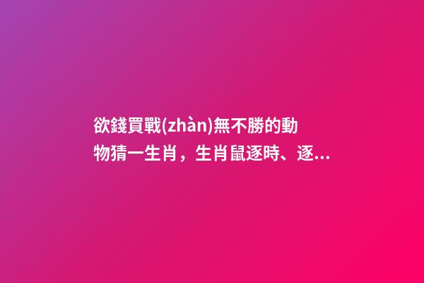 欲錢買戰(zhàn)無不勝的動物猜一生肖，生肖鼠逐時、逐日、逐年運(yùn)勢