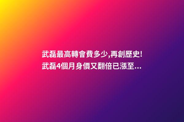武磊最高轉會費多少,再創歷史!武磊4個月身價又翻倍已漲至1千萬歐-第1張-觀點-玄機派