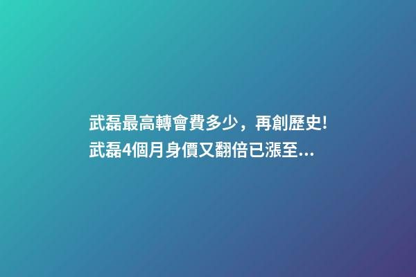 武磊最高轉會費多少，再創歷史!武磊4個月身價又翻倍已漲至1千萬歐-第1張-觀點-玄機派