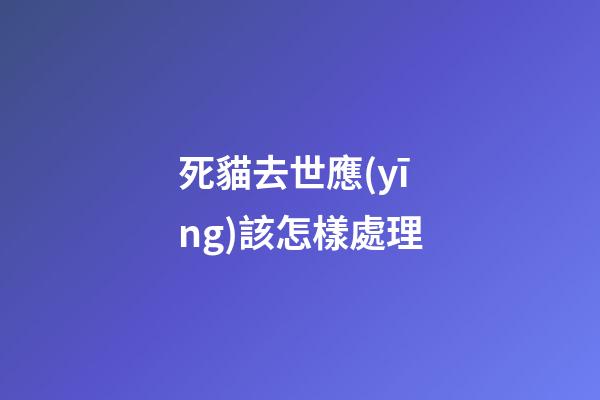 死貓去世應(yīng)該怎樣處理