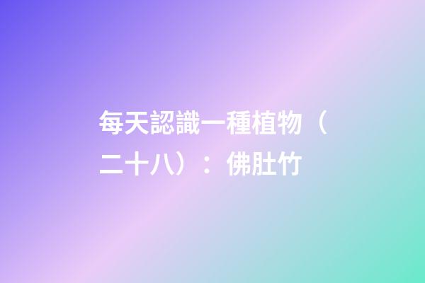 每天認識一種植物（二十八）：佛肚竹