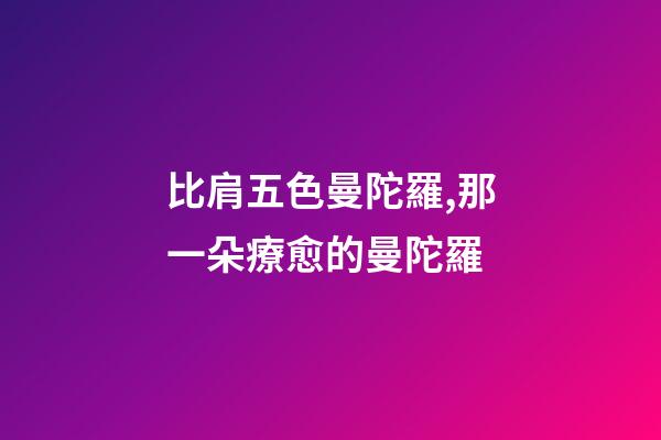 比肩五色曼陀羅,那一朵療愈的曼陀羅-第1張-觀點-玄機派