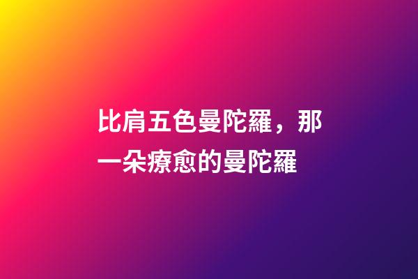 比肩五色曼陀羅，那一朵療愈的曼陀羅-第1張-觀點-玄機派
