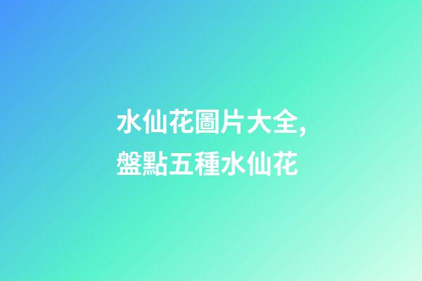 水仙花圖片大全,盤點五種水仙花-第1張-觀點-玄機派