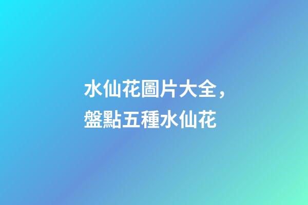 水仙花圖片大全，盤點五種水仙花-第1張-觀點-玄機派