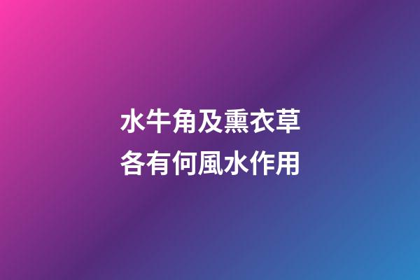 水牛角及熏衣草各有何風水作用?