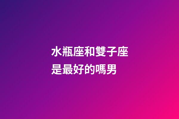 水瓶座和雙子座是最好的嗎男-第1張-星座運勢-玄機派