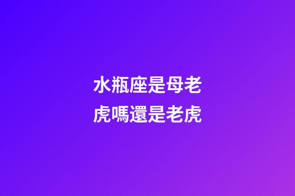 水瓶座是母老虎嗎還是老虎-第1張-星座運勢-玄機派