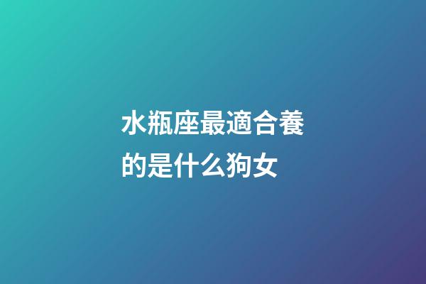 水瓶座最適合養的是什么狗女-第1張-星座運勢-玄機派