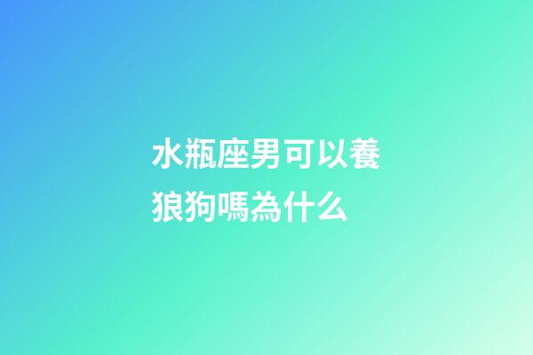 水瓶座男可以養狼狗嗎為什么-第1張-星座運勢-玄機派