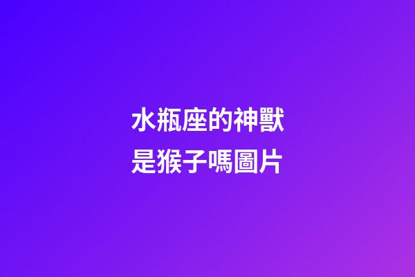 水瓶座的神獸是猴子嗎圖片-第1張-星座運(yùn)勢(shì)-玄機(jī)派