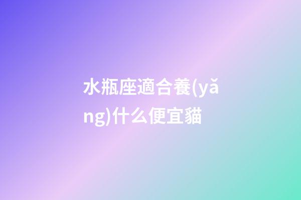水瓶座適合養(yǎng)什么便宜貓-第1張-星座運勢-玄機(jī)派