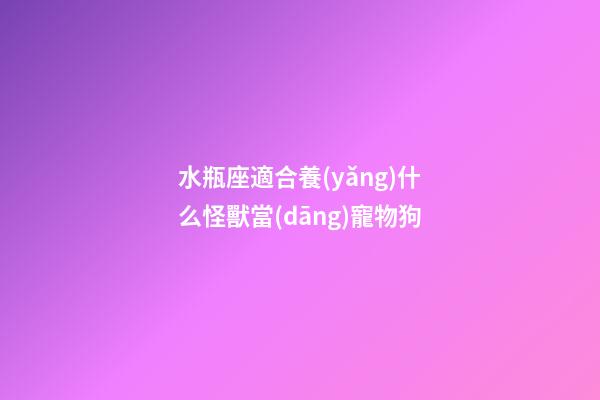 水瓶座適合養(yǎng)什么怪獸當(dāng)寵物狗-第1張-星座運(yùn)勢(shì)-玄機(jī)派