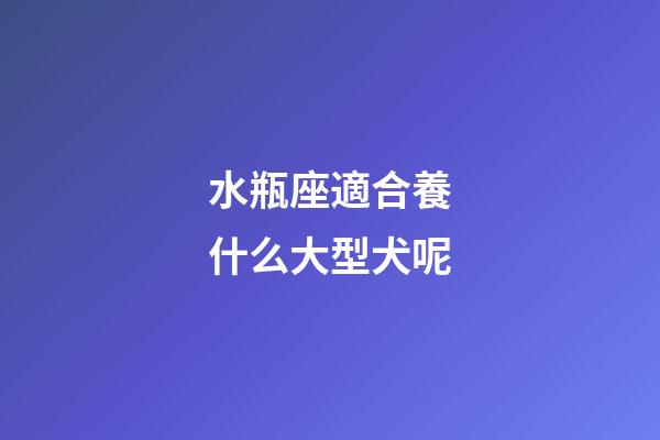 水瓶座適合養什么大型犬呢-第1張-星座運勢-玄機派