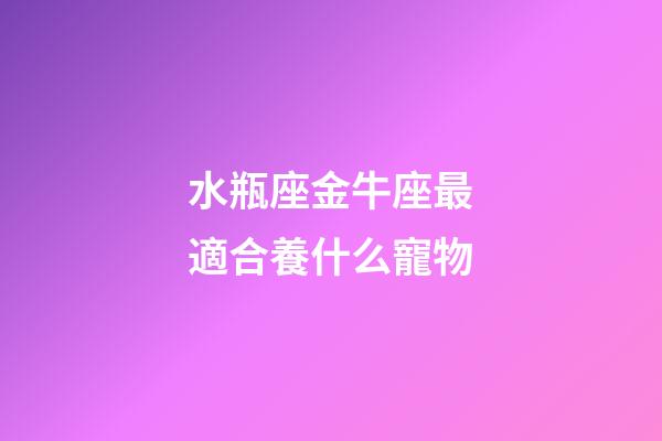 水瓶座金牛座最適合養什么寵物-第1張-星座運勢-玄機派