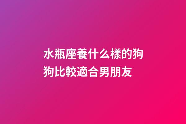水瓶座養什么樣的狗狗比較適合男朋友-第1張-星座運勢-玄機派