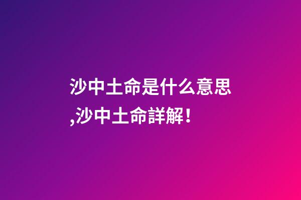 沙中土命是什么意思,沙中土命詳解！