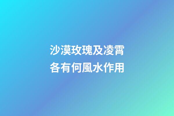 沙漠玫瑰及凌霄各有何風水作用?