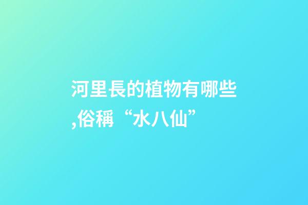 河里長的植物有哪些,俗稱“水八仙”-第1張-觀點-玄機派