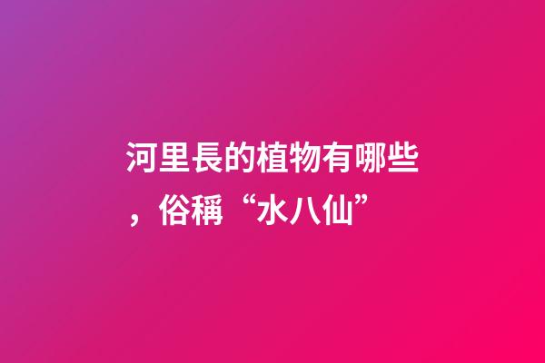 河里長的植物有哪些，俗稱“水八仙”-第1張-觀點-玄機派