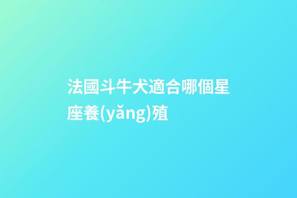 法國斗牛犬適合哪個星座養(yǎng)殖-第1張-星座運勢-玄機派