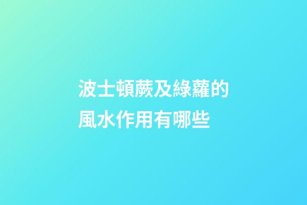 波士頓蕨及綠蘿的風水作用有哪些?