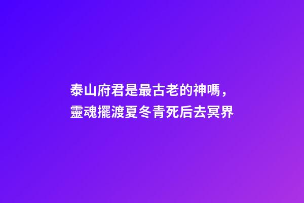 泰山府君是最古老的神嗎，靈魂擺渡夏冬青死后去冥界-第1張-觀點-玄機派