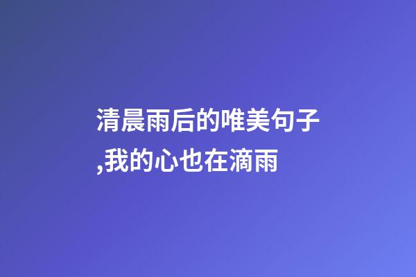 清晨雨后的唯美句子,我的心也在滴雨-第1張-觀點-玄機派