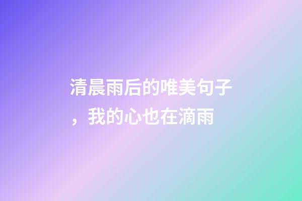 清晨雨后的唯美句子，我的心也在滴雨-第1張-觀點-玄機派
