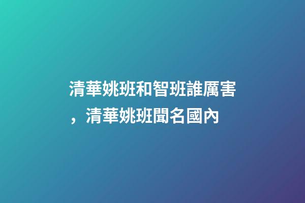 清華姚班和智班誰厲害，清華姚班聞名國內-第1張-觀點-玄機派