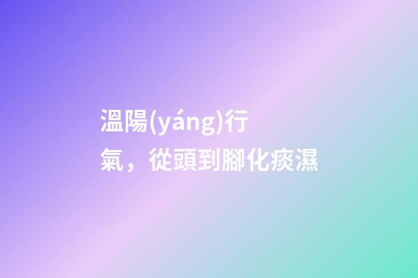 溫陽(yáng)行氣，從頭到腳化痰濕-第1張-觀點(diǎn)-玄機(jī)派