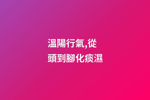 溫陽行氣,從頭到腳化痰濕-第1張-觀點-玄機派