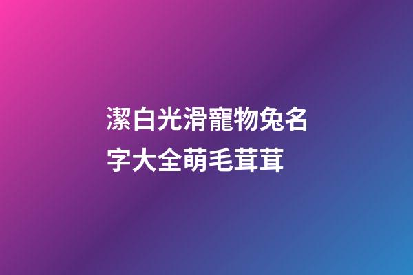 潔白光滑寵物兔名字大全萌毛茸茸