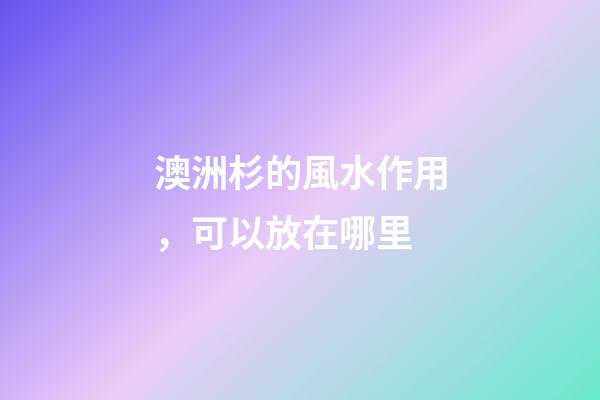 澳洲杉的風水作用，可以放在哪里