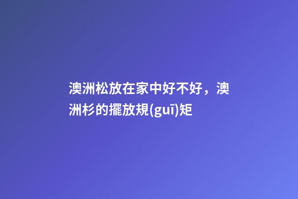 澳洲松放在家中好不好，澳洲杉的擺放規(guī)矩