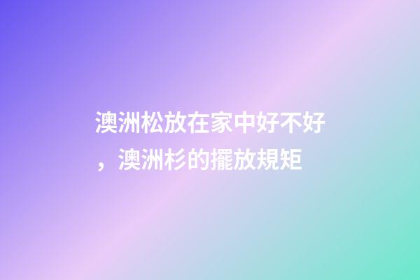 澳洲松放在家中好不好，澳洲杉的擺放規矩