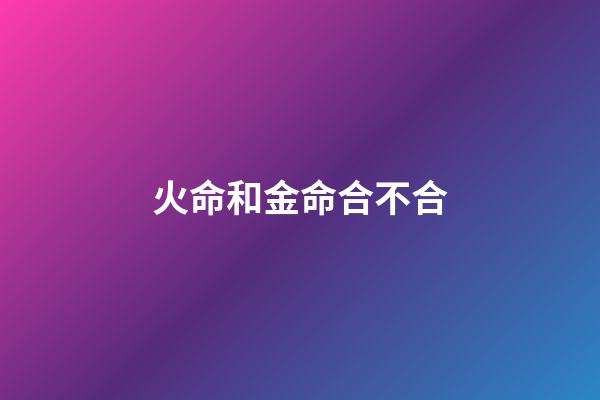 火命和金命合不合