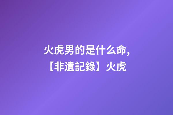 火虎男的是什么命,【非遺記錄】火虎-第1張-觀點-玄機派