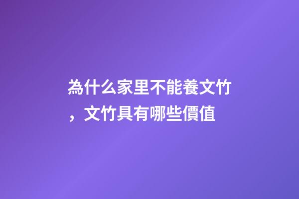 為什么家里不能養文竹，文竹具有哪些價值