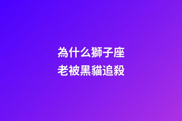 為什么獅子座老被黑貓追殺-第1張-星座運勢-玄機派