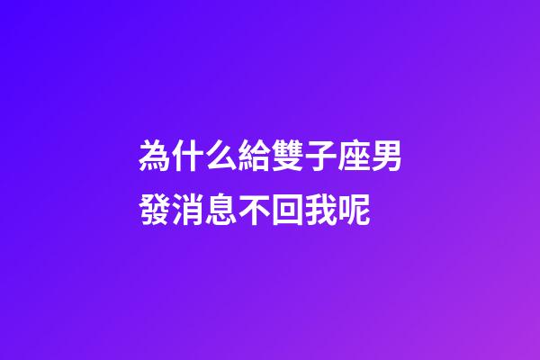 為什么給雙子座男發消息不回我呢-第1張-星座運勢-玄機派
