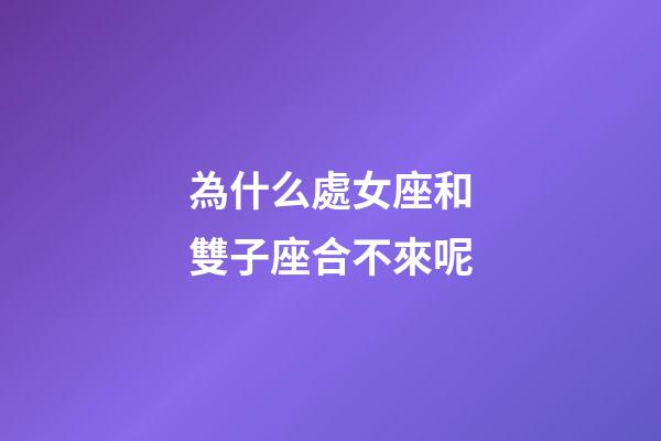 為什么處女座和雙子座合不來呢-第1張-星座運勢-玄機派