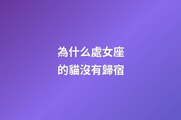為什么處女座的貓沒有歸宿-第1張-星座運勢-玄機派