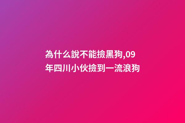 為什么說不能撿黑狗,09年四川小伙撿到一流浪狗-第1張-觀點(diǎn)-玄機(jī)派