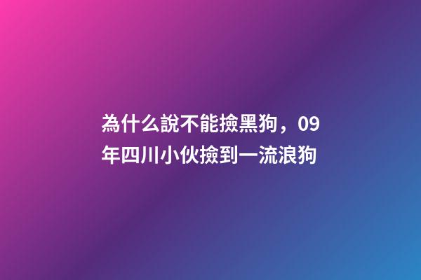 為什么說不能撿黑狗，09年四川小伙撿到一流浪狗-第1張-觀點-玄機派