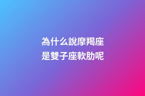 為什么說摩羯座是雙子座軟肋呢-第1張-星座運勢-玄機派
