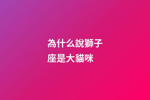 為什么說獅子座是大貓咪-第1張-星座運勢-玄機派