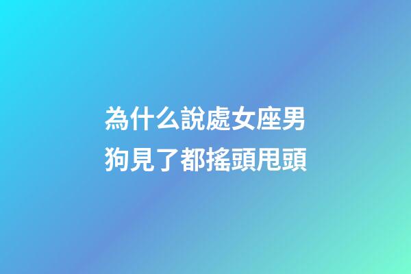 為什么說處女座男狗見了都搖頭甩頭-第1張-星座運勢-玄機派