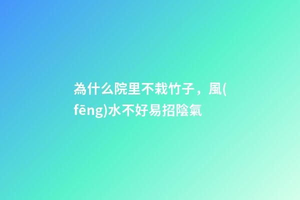 為什么院里不栽竹子，風(fēng)水不好易招陰氣