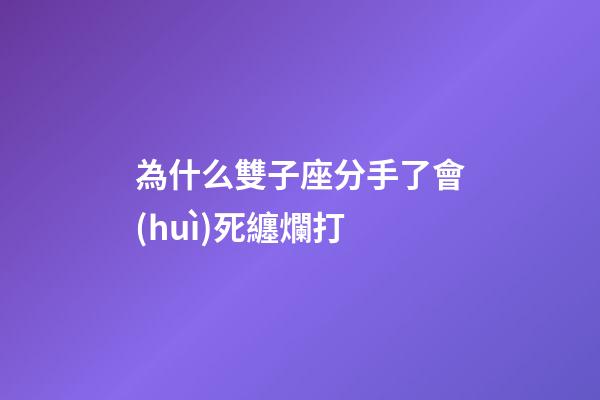 為什么雙子座分手了會(huì)死纏爛打-第1張-星座運(yùn)勢(shì)-玄機(jī)派